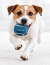 Mini Pet Tennis Ball Set