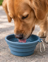 Collapsible Silicone Pet Bowl